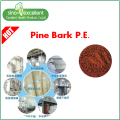 Natural Pine Bark Extract Powder Proanthocyanidins